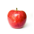 Apple Honey Crisp