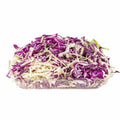Mix Color Cabbage Slices