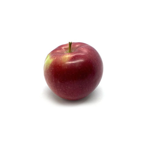 Apple QC McIntosh