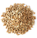 Roasted Sunflower Seeds
