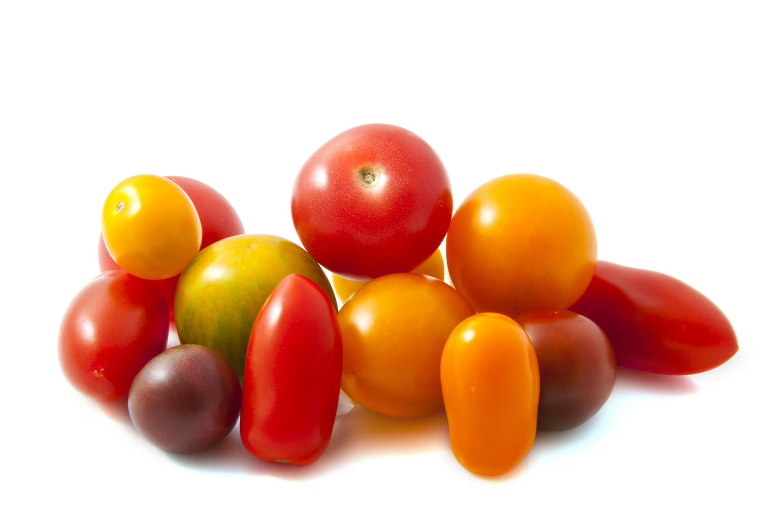 Wild Wonders Tomatoes